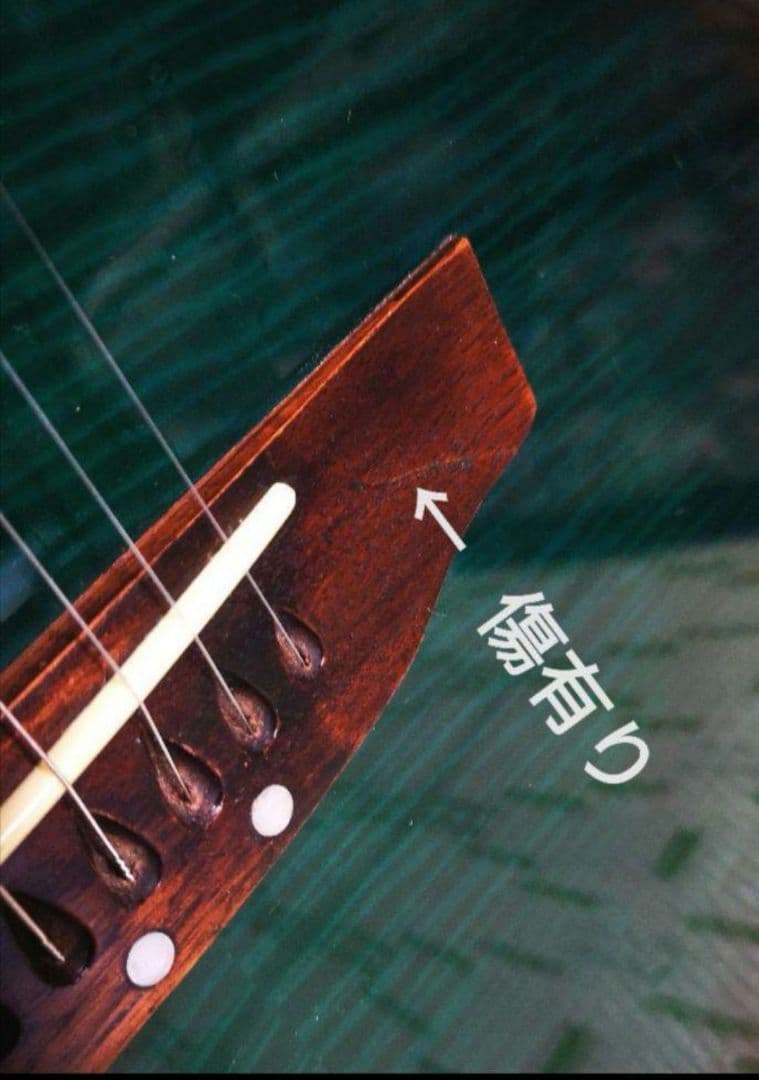 ♦️超レアギター♦️ ProMartin エレアコ EA350BLS ①