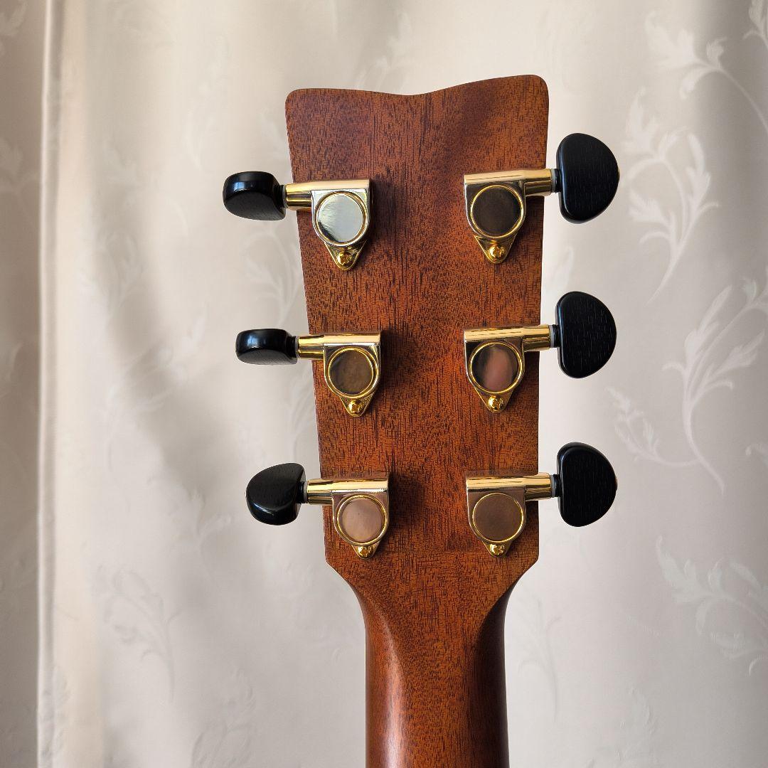 YAMAHA FSX755SC　エレアコ