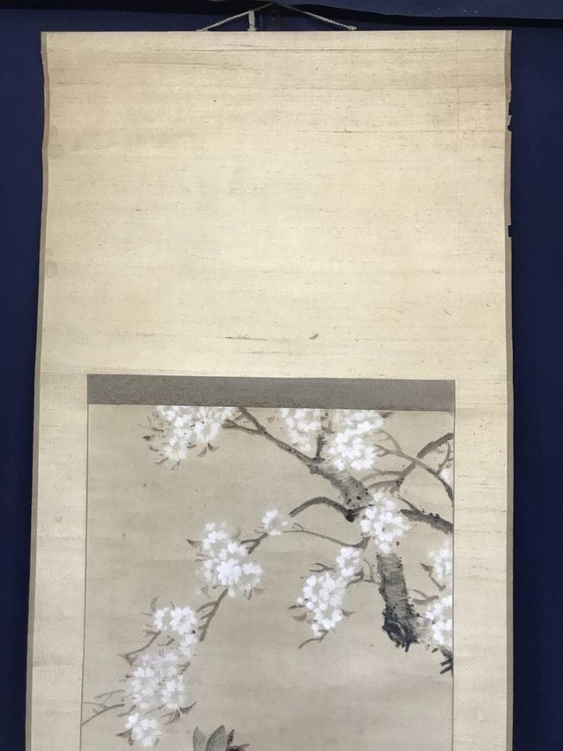 【真作】戴山/桜下美人図/美人画/浮世絵/掛軸/名家伝来/AC-144