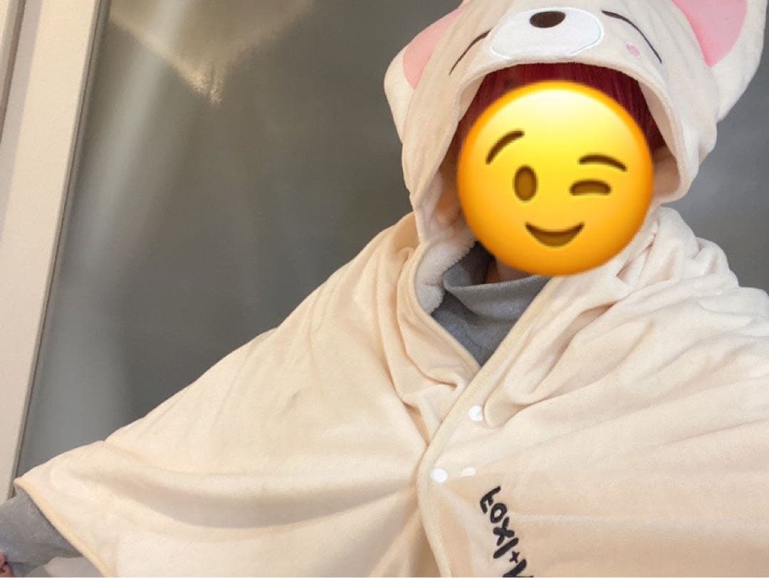 SKZOO フォクシニー×ポガリ 抱きぐるみ ブランケット