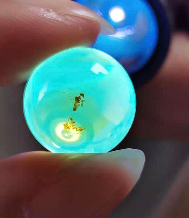 アンバー 琥珀 虫入り琥珀 ホソヒラタアブ  天然石  虫入り 価値上がる