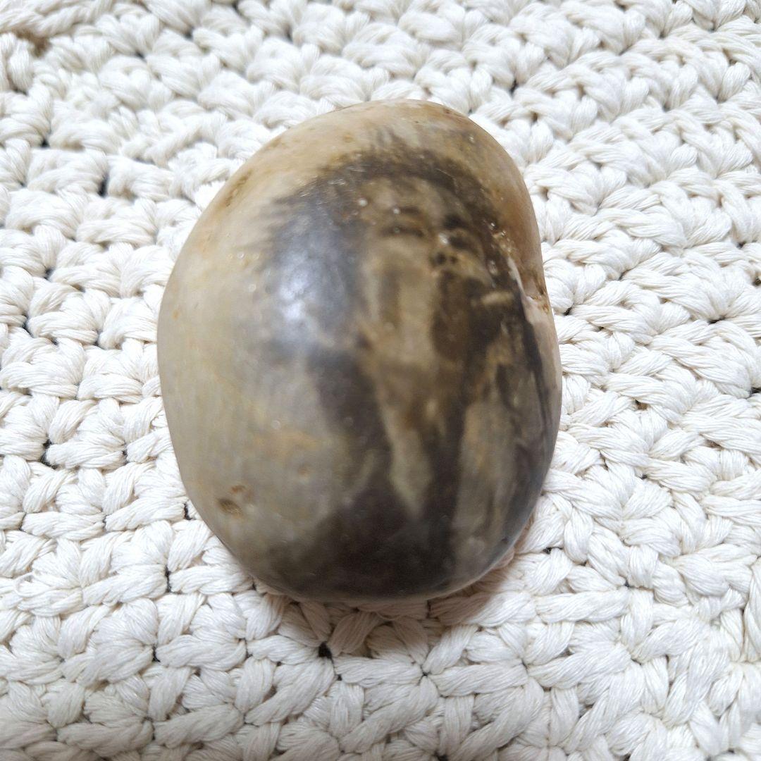 RCサクセション 忌野清志郎 ファミリーストーンツアー 非売品