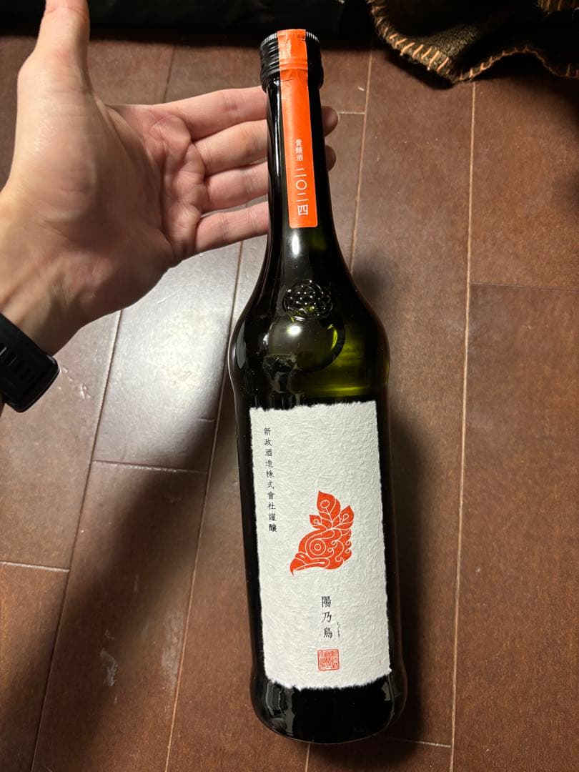 新政　陽乃鳥　2024