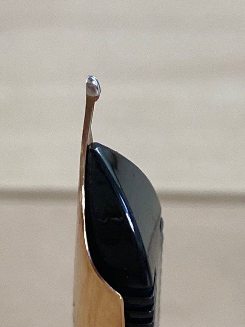 【v494v】フルハルター 10周年記念モデル 万年筆