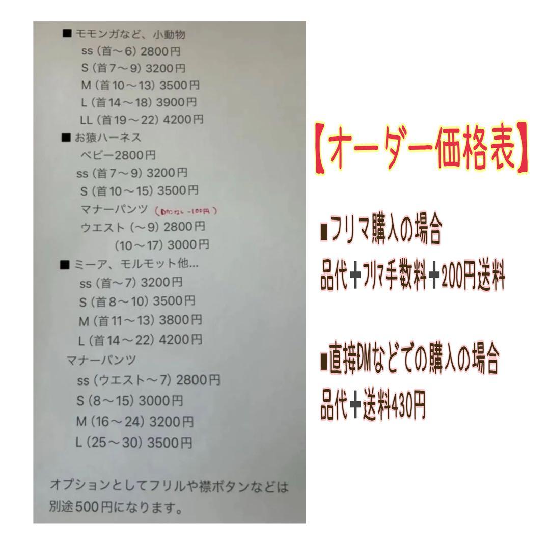 モモンガハーネスオーダー受付中