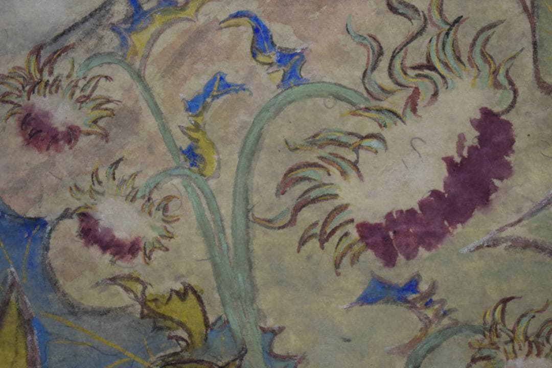 真作/白水/裾野の花/桐共箱付/布袋屋掛軸HH-520