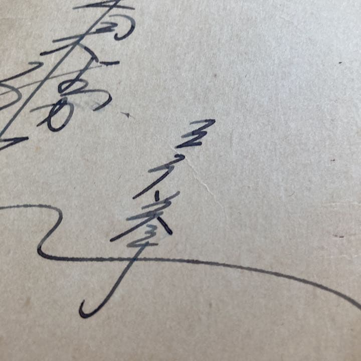 ボクシング 元東洋バンダム級チャンピオン青木勝利 直筆サイン