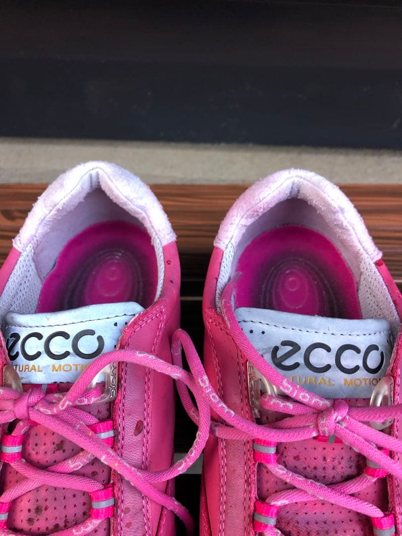 ECCOゴルフシューズ 36 23.0cm紐式 スパイクレス