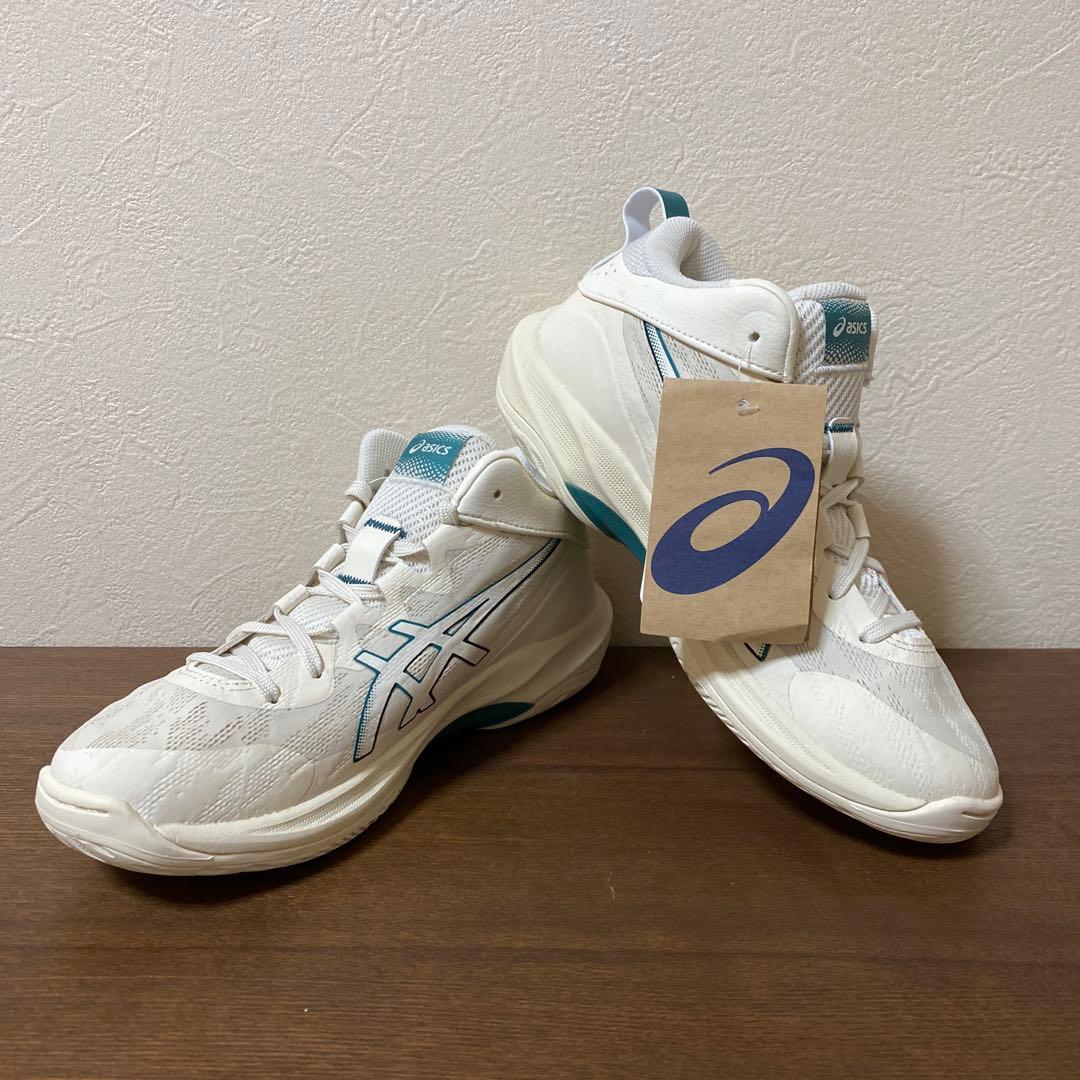 asics GELHOOP v17 アシックス ゲルフープ バッシュ 24cm