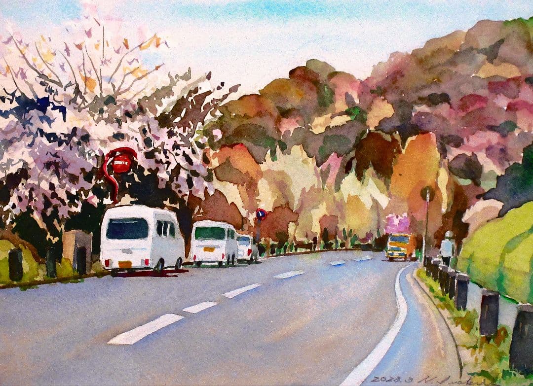 桜並木の道 水彩画 2023年額装済み(YRP公園)