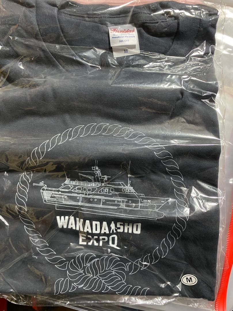 加山雄三　tシャツ 未開封　２枚セット　L/M