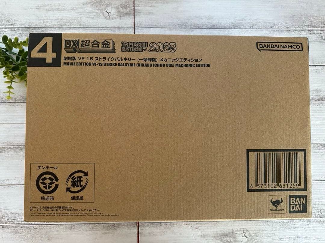劇場版　VF-1S ストライクバルキリー(一条輝機)メカニックエディション