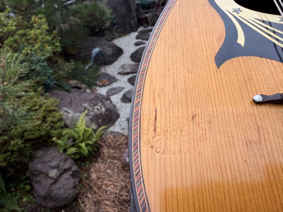 美しいイタリアのマンドリン1915年製G. Puglisi Neapolitan