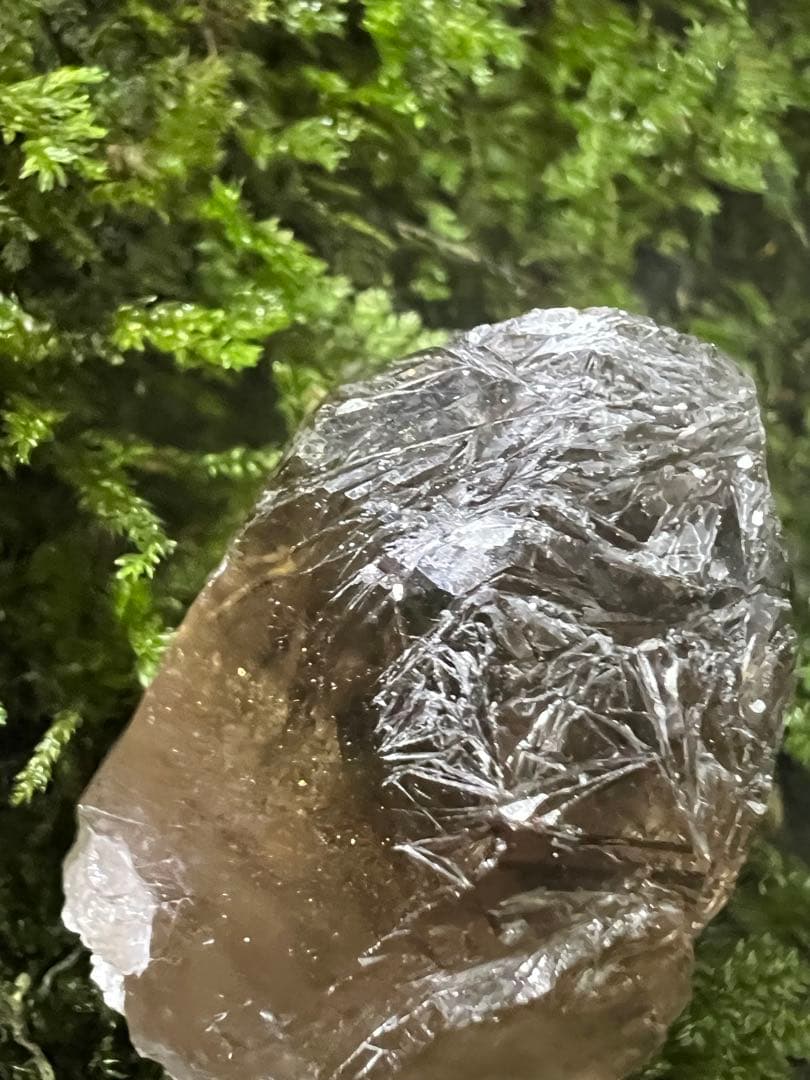 龍脈の精髄　宮崎産虹入り成長干渉煙水晶「祓いと覚醒、希望の光」【保護猫活動支援】