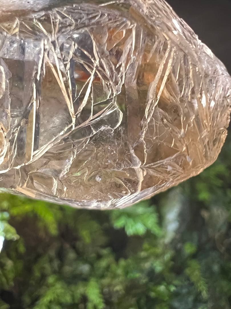 龍脈の精髄　宮崎産虹入り成長干渉煙水晶「祓いと覚醒、希望の光」【保護猫活動支援】