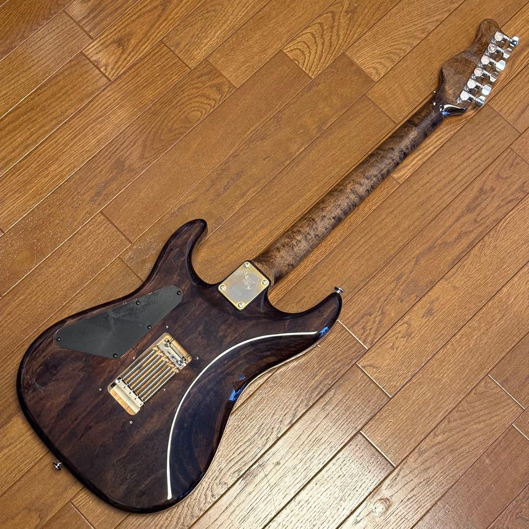ギター Valley Arts Japan Custom Pro SRE270