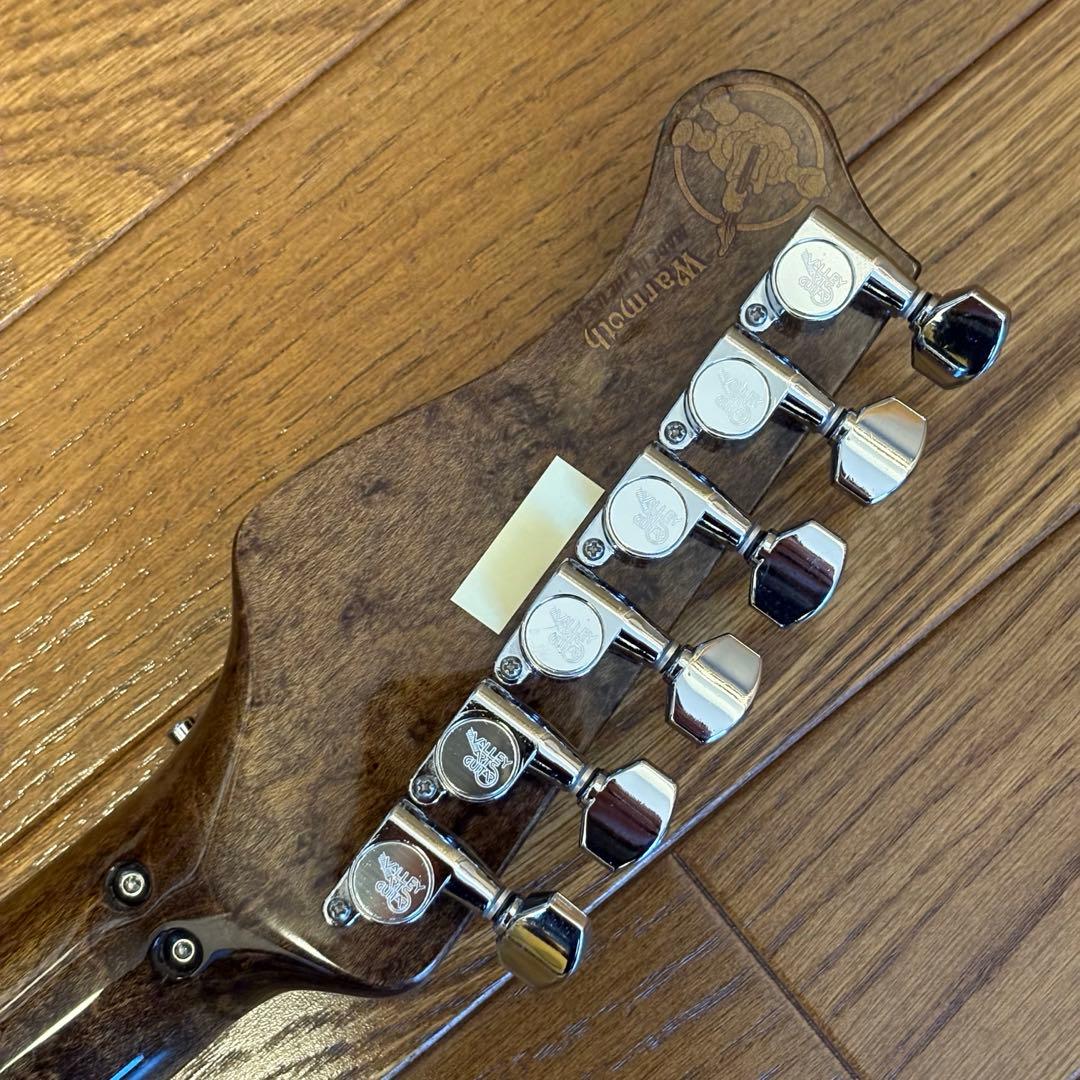 ギター Valley Arts Japan Custom Pro SRE270
