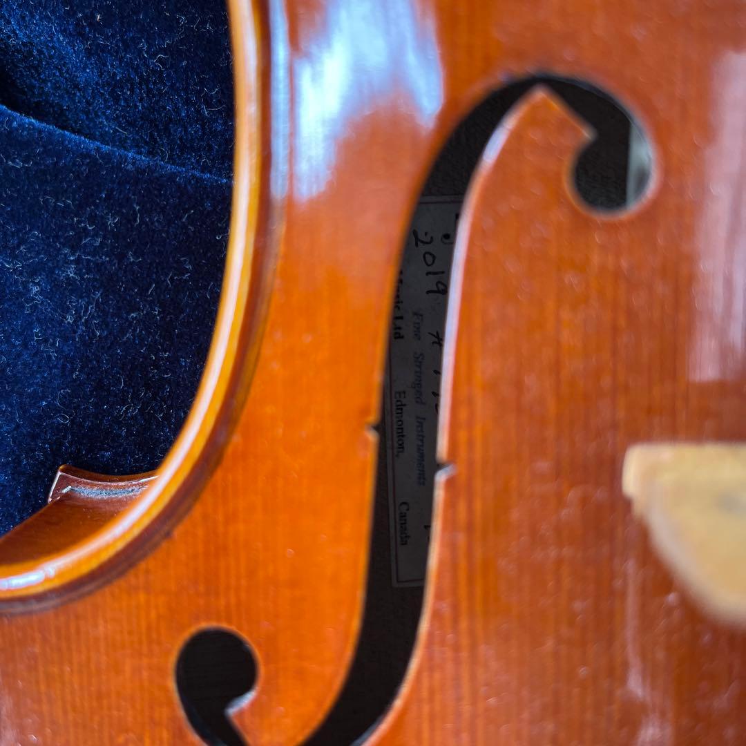 15 インチ　サイズ　ビオラ