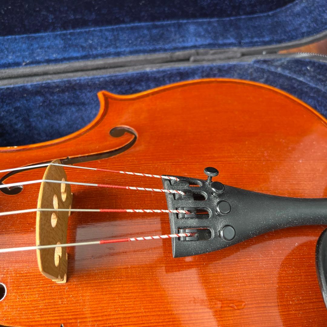 15 インチ　サイズ　ビオラ