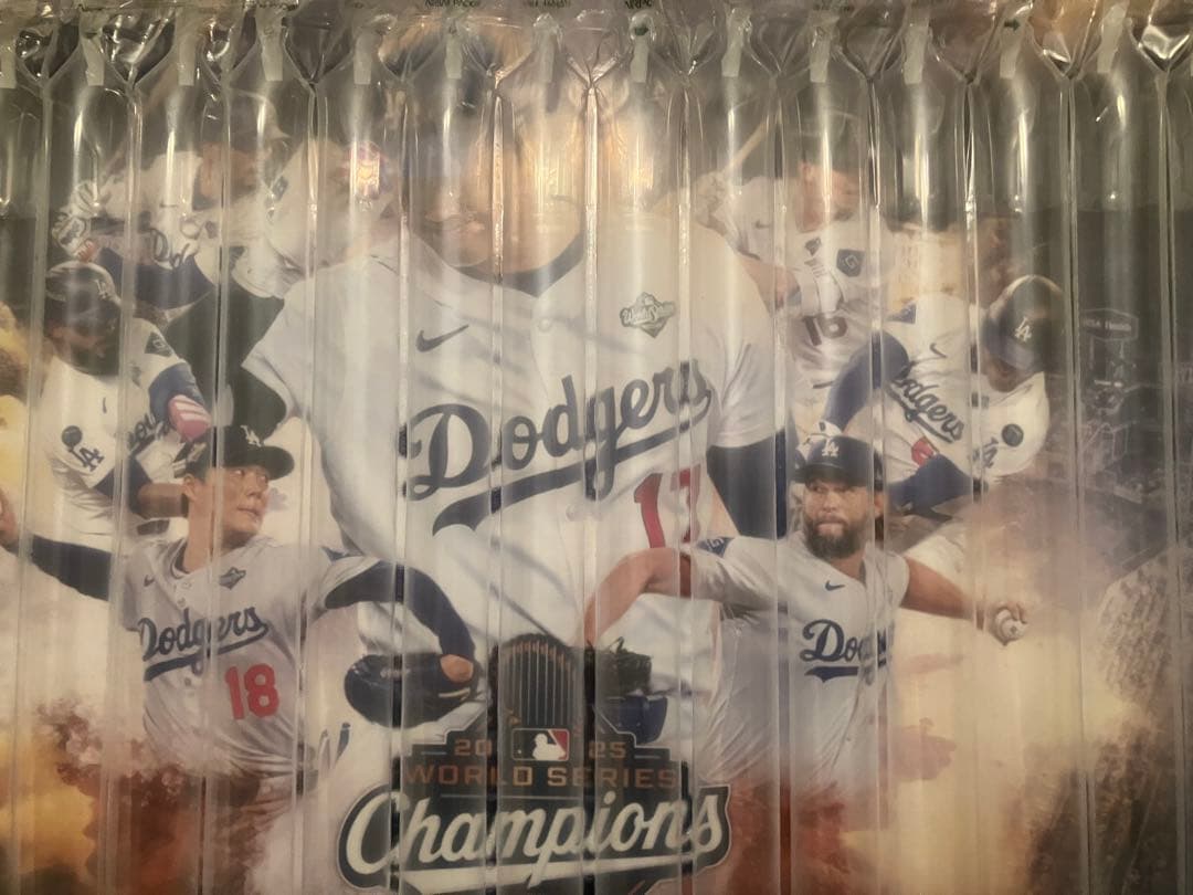 ドジャース 2025年WSチャンピオン 試合使用球、ベース、土 限定品　大谷翔平