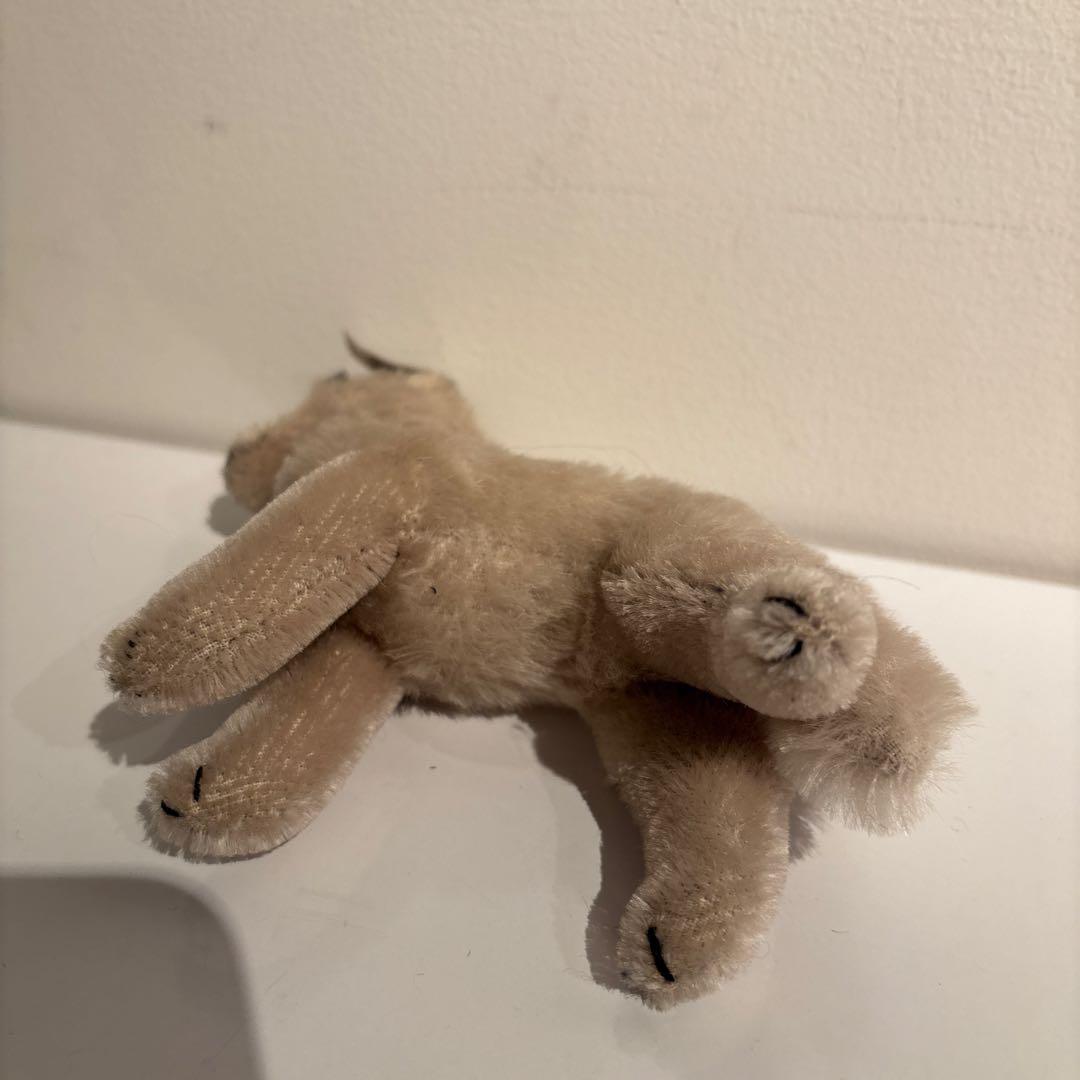 steiff wolf オオカミ　限定2000体　オールドシュタイフ　超希少