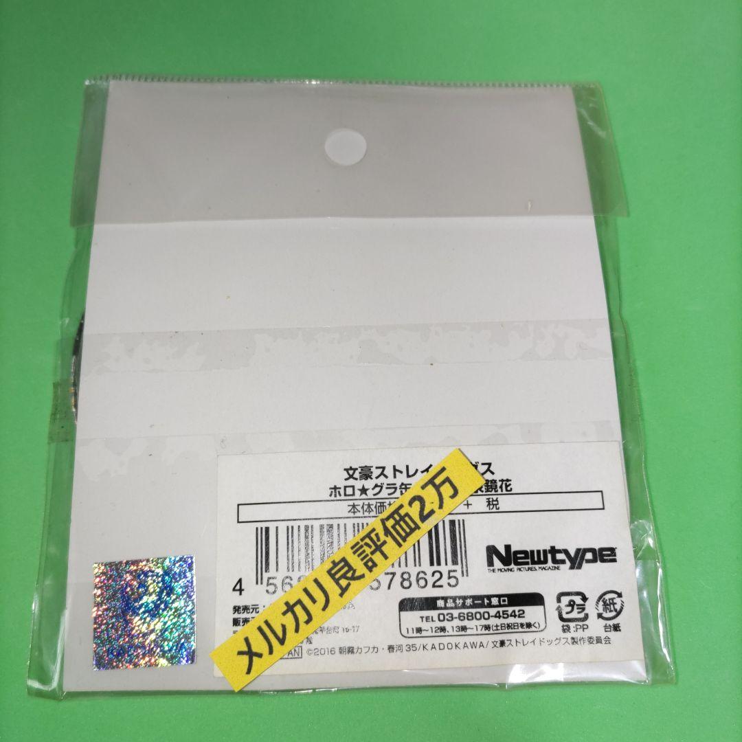 ①㉞ 文豪ストレイドッグス 泉鏡花 アニメガ 文教堂 NewType 缶バッジ