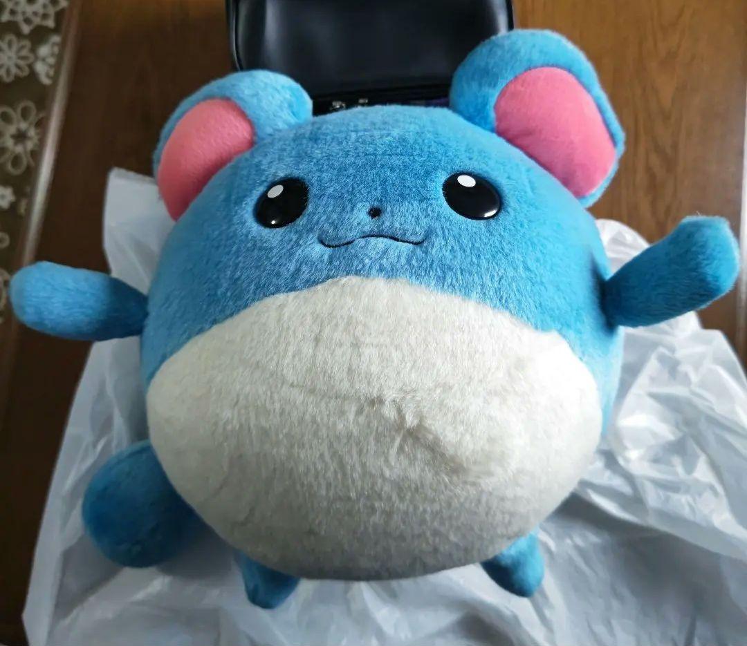 製 マリル ポケモン