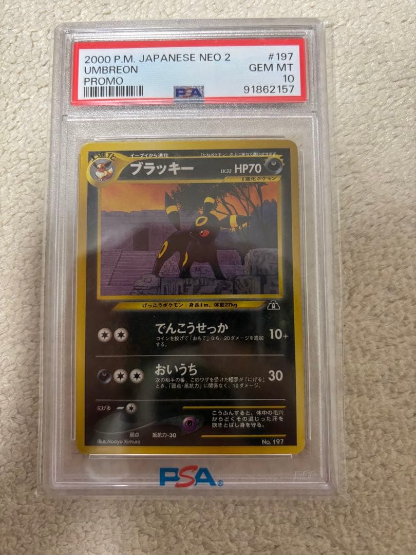 ブラッキー　プレミアムファイル　旧裏　PSA10
