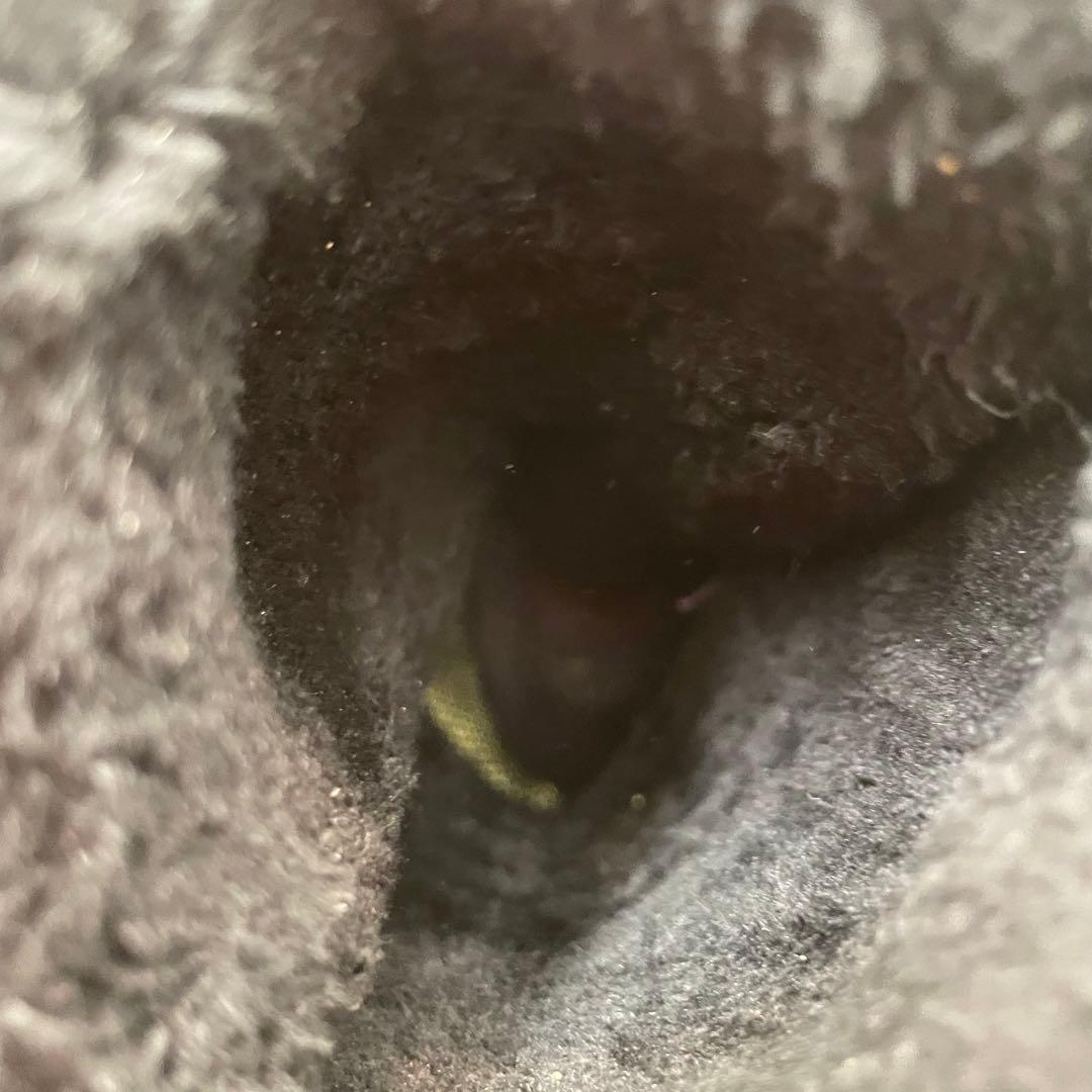 メンズ　スノーボード　ブーツ VANS バンズ　 BOAブーツ　24cm