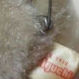 セキグチ　くま　バッジ　レトロ