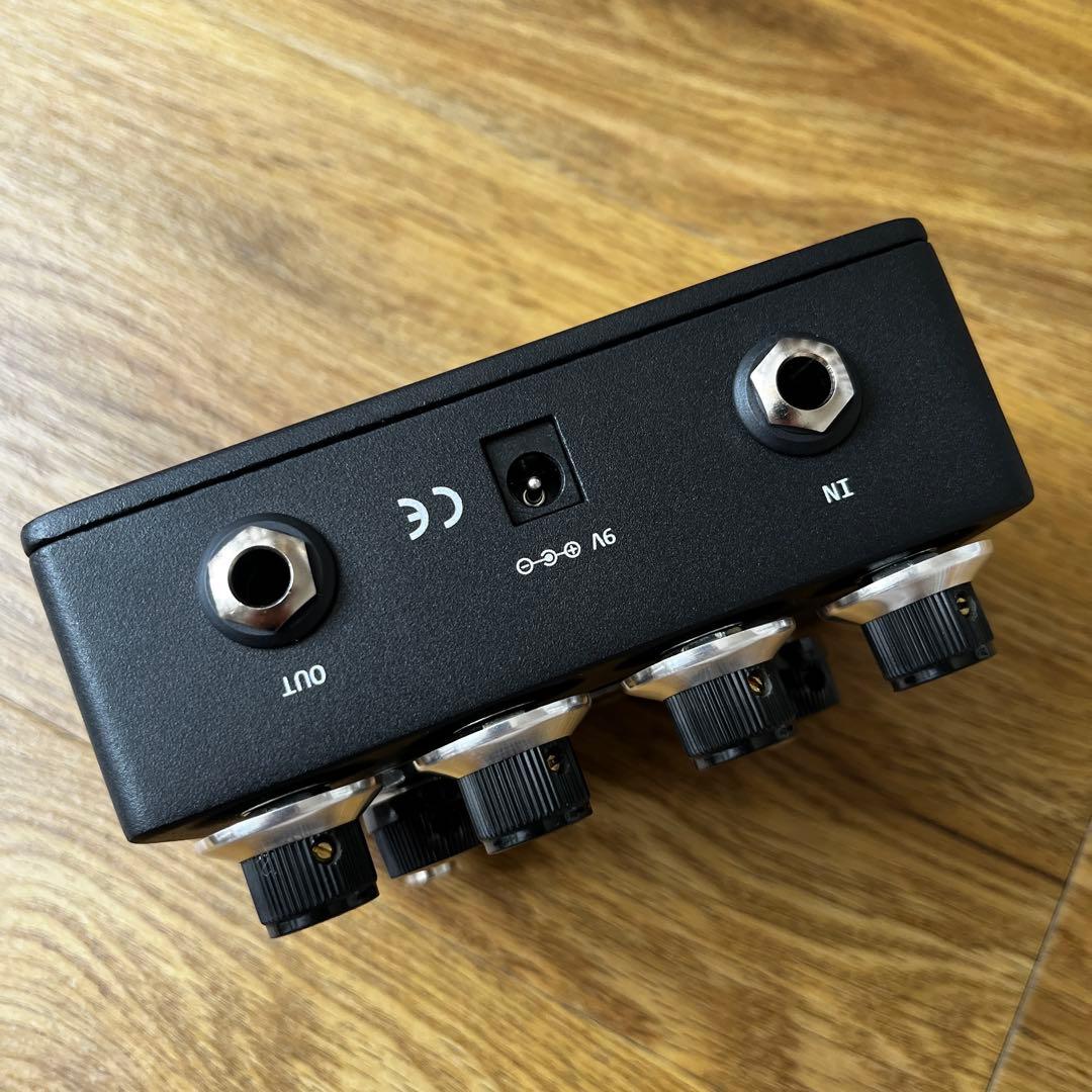 browne amplification protein クローン