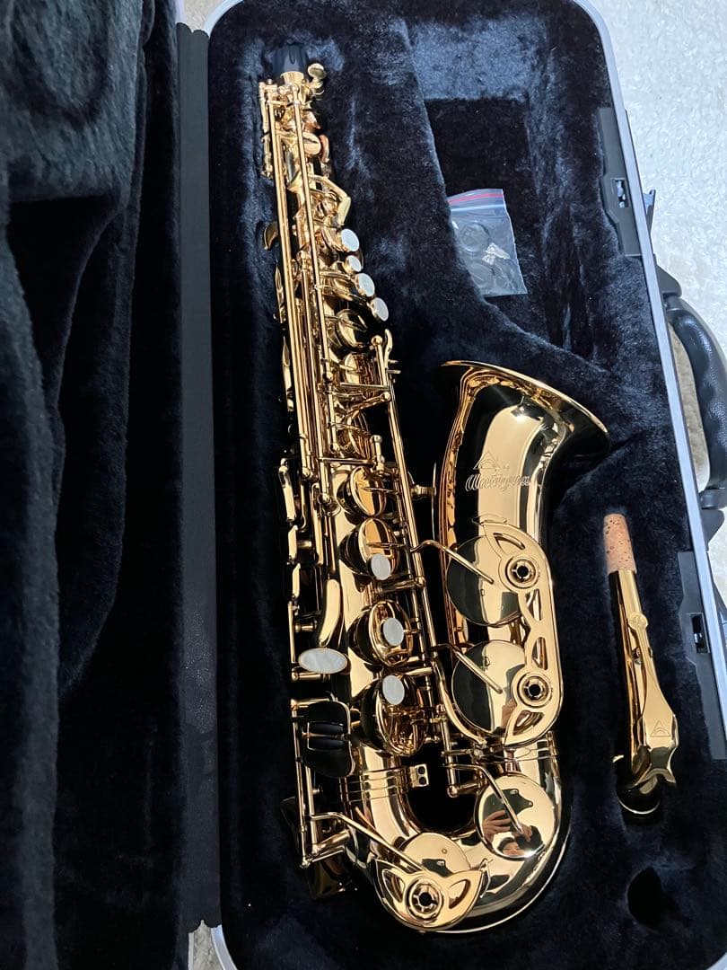 【気まぐれ値下げ】Antigua アンティグア 3100アルトサックス