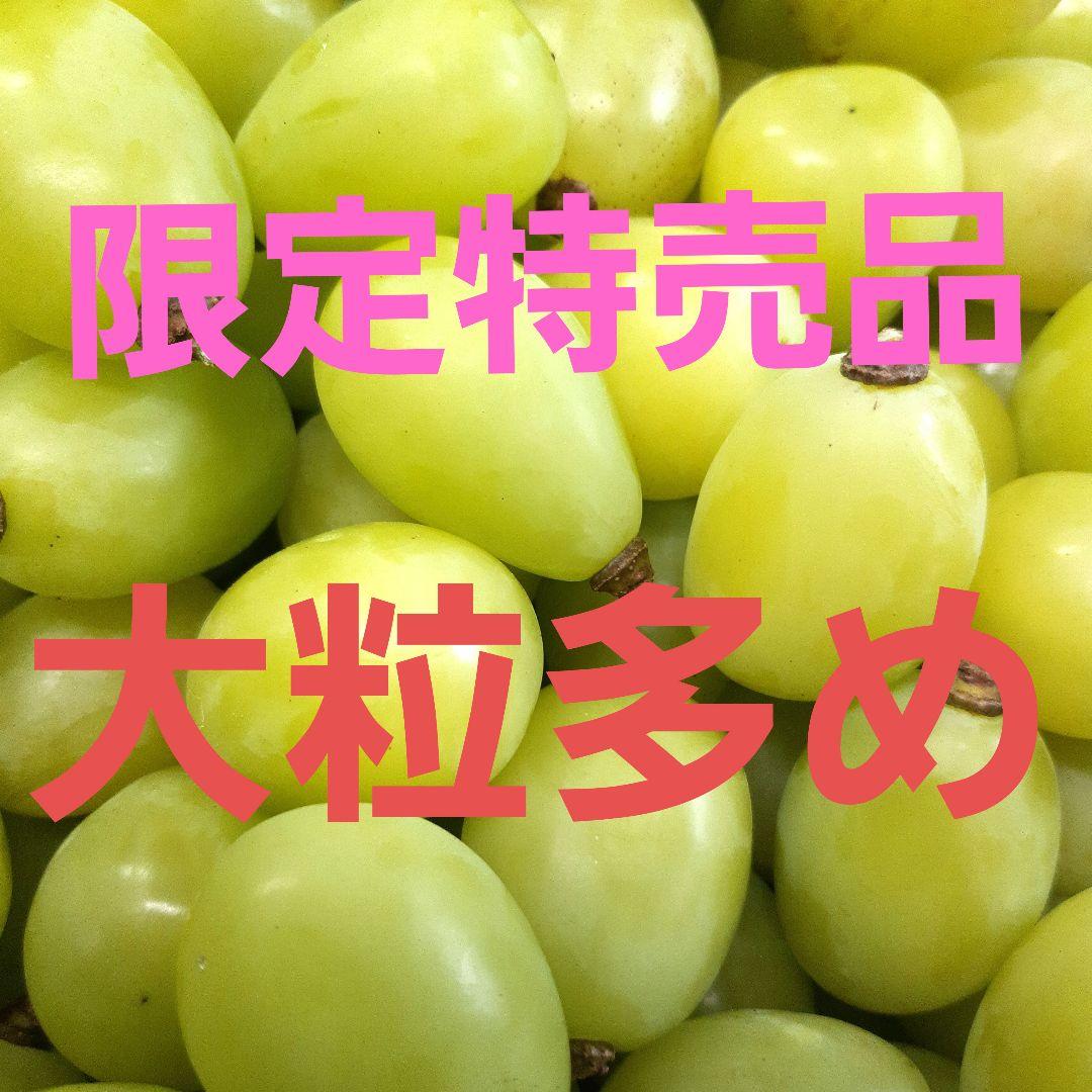 シャインマスカット増量の、大粒多め入り徳用5.5キロ入りの粒バック入りになります
