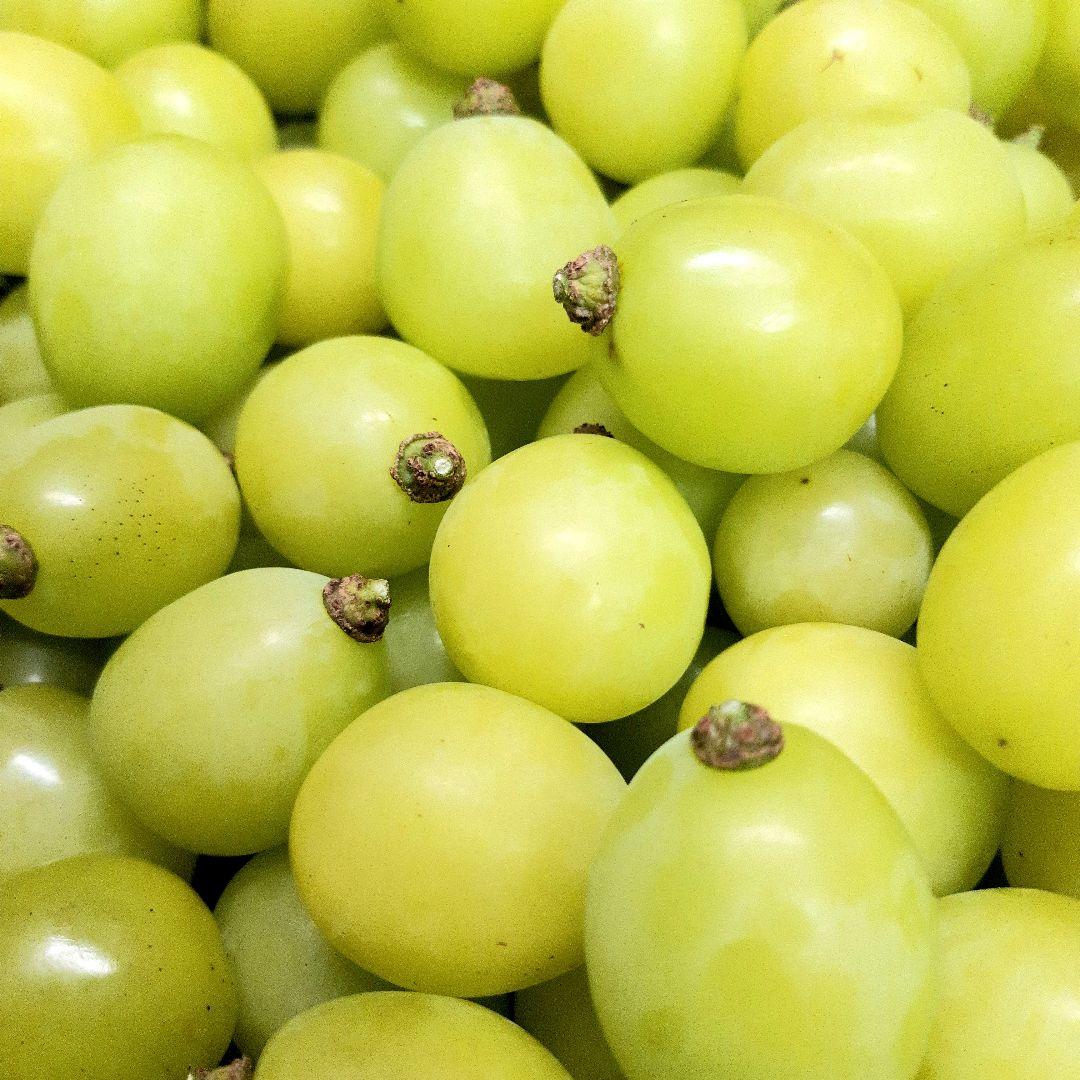 シャインマスカット増量の、大粒多め入り徳用5.5キロ入りの粒バック入りになります