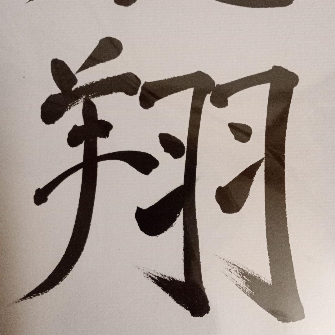 藤井聡太竜王 羽生善治九段 竜王位 直筆揮毫 色紙2点セット 永世竜王