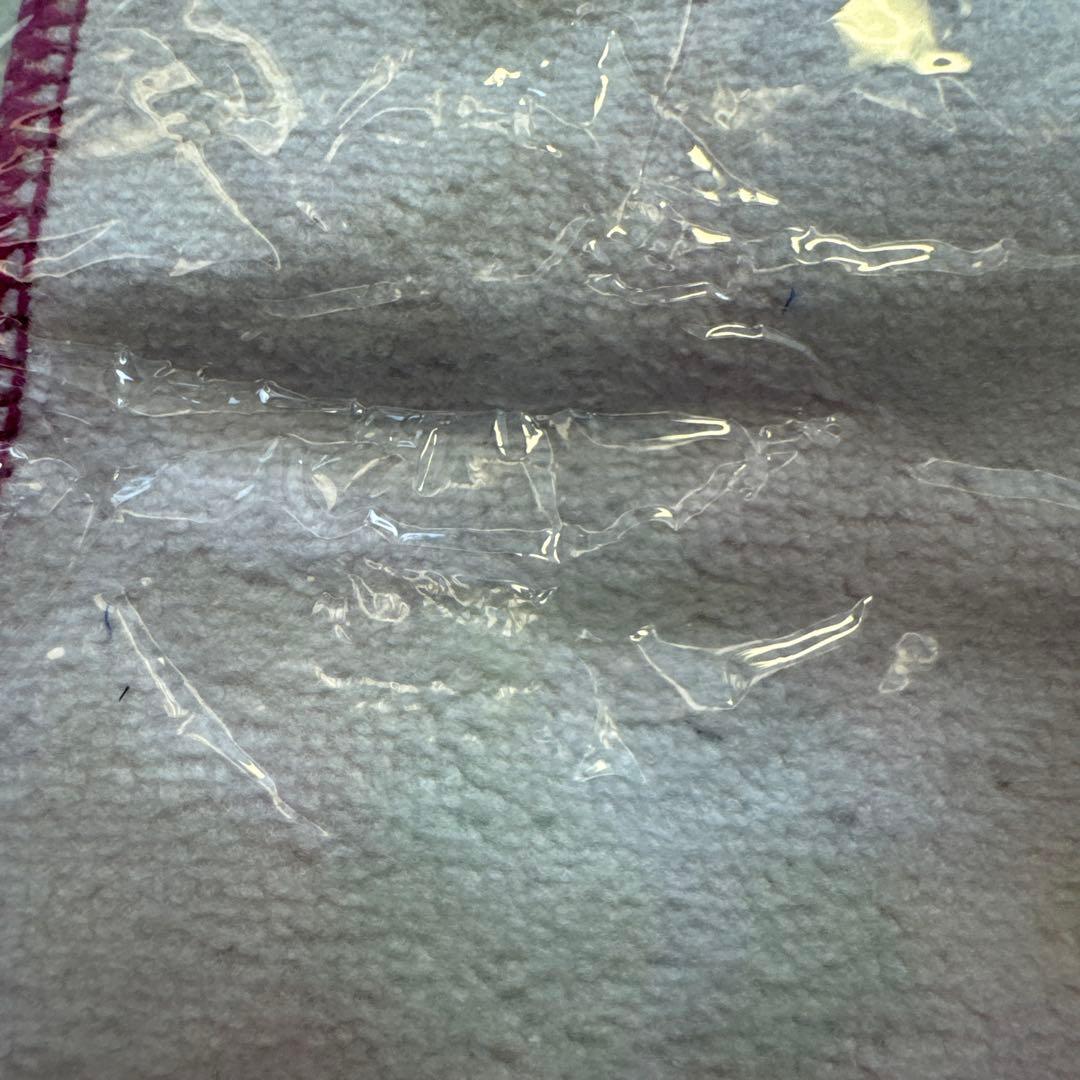 ポケモン　ミニタオル　セレナ