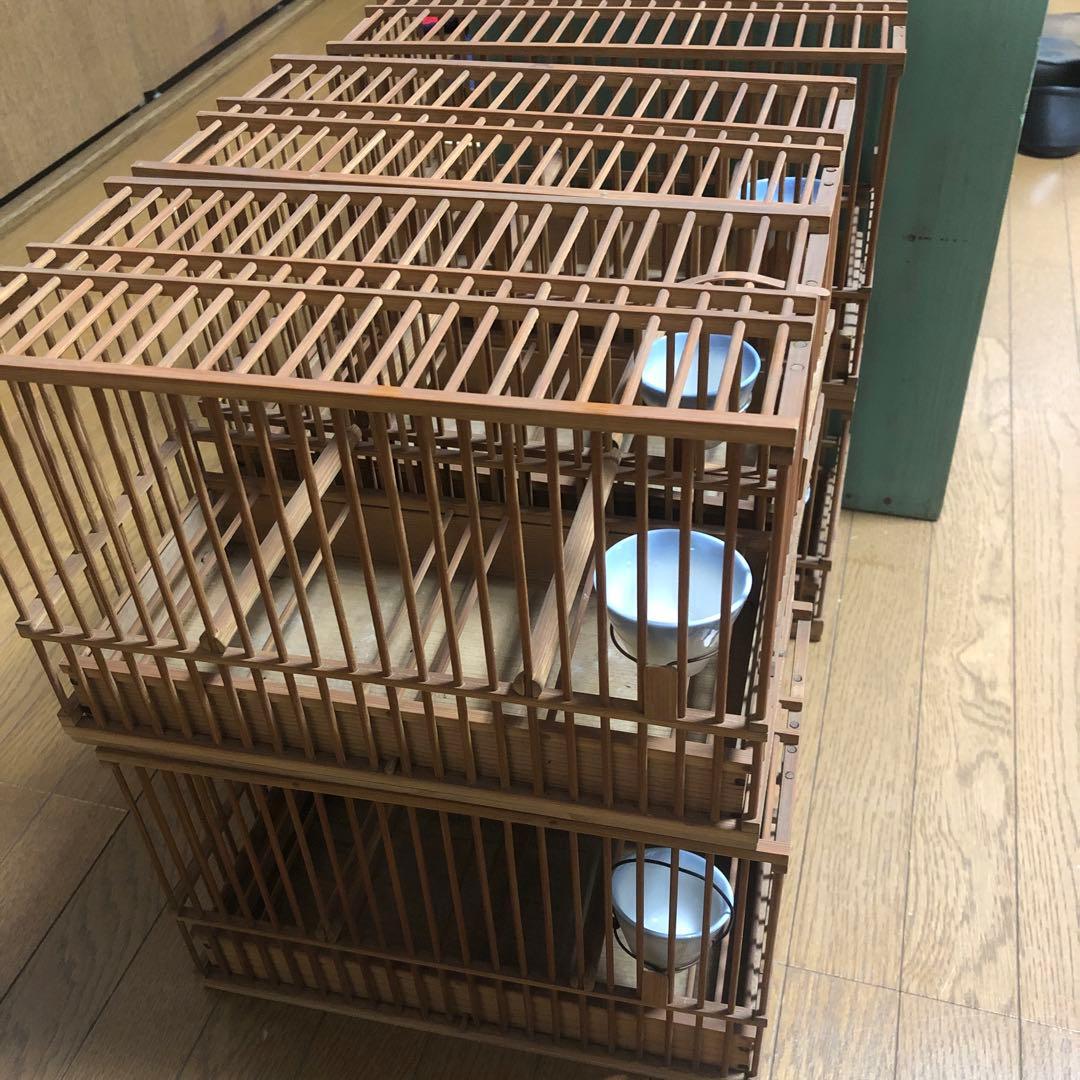 竹製鳥籠6個セット