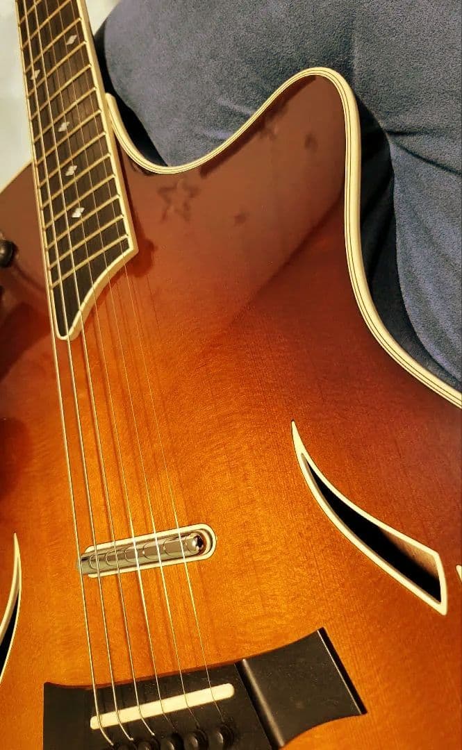 ギター Taylor guiter T5