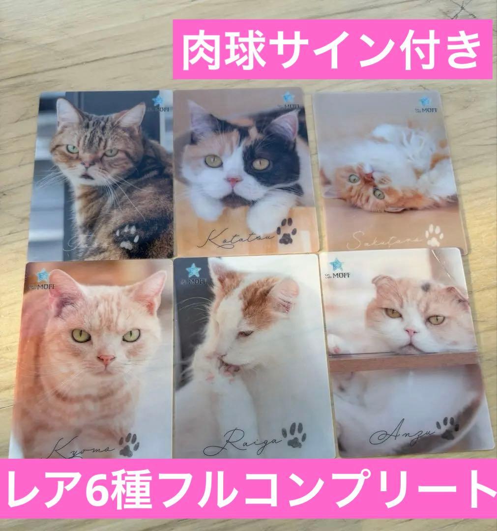 キャットカフェモフ グランベリーパーク店 トレカ コレカ 肉球レア コンプリート