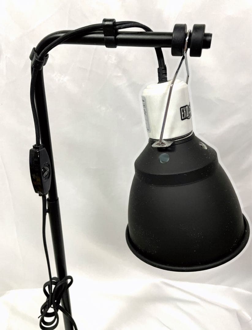 MONSOON SOLO ナチュラルテラリウム セット