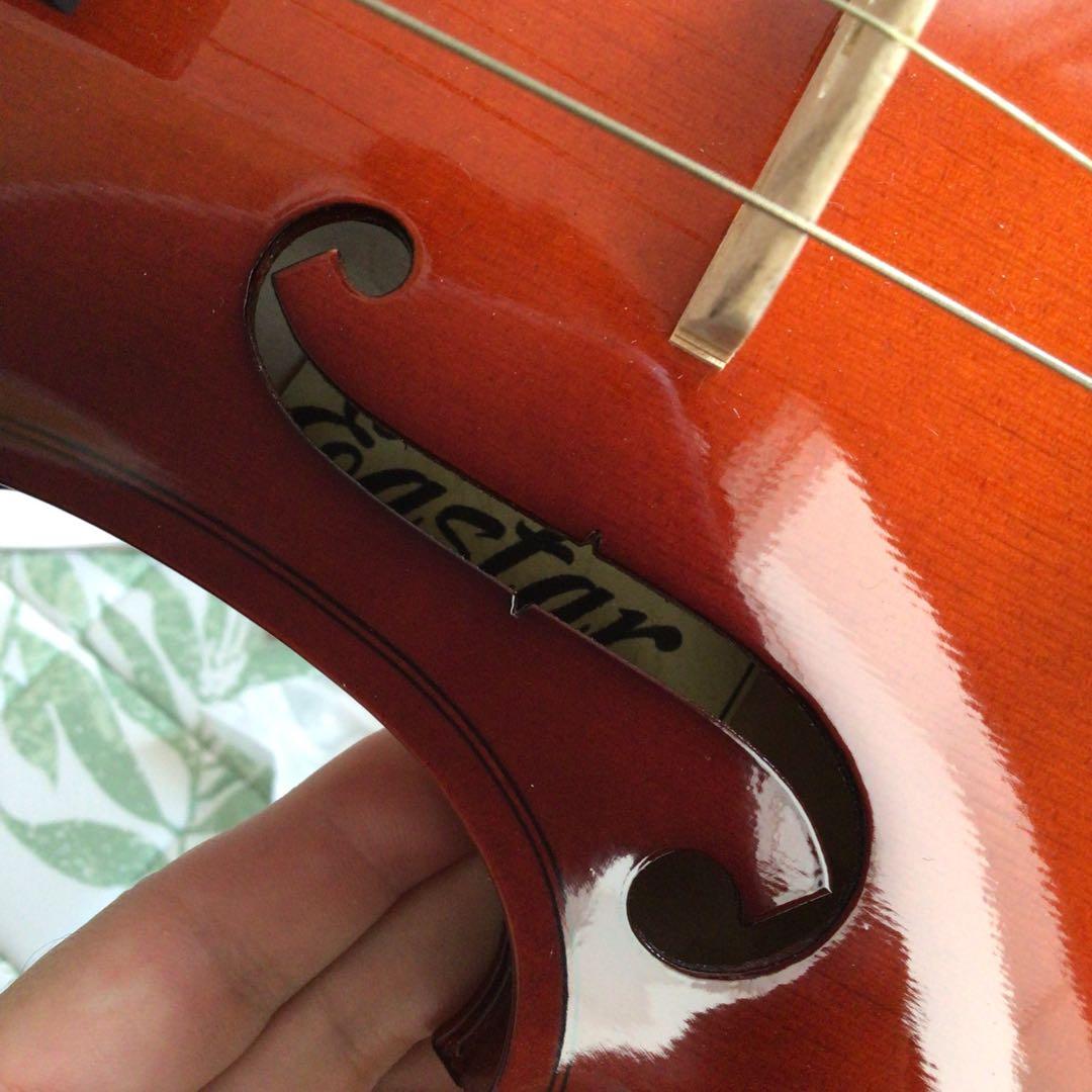 Eastarバイオリン 4/4 単板 ソリッド バイオリンセット 本体