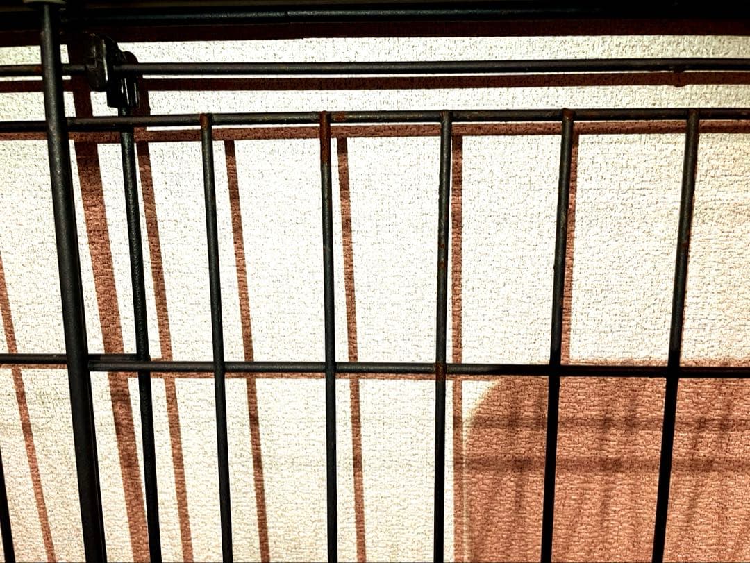 アイリスオーヤマ製　犬用ケージ