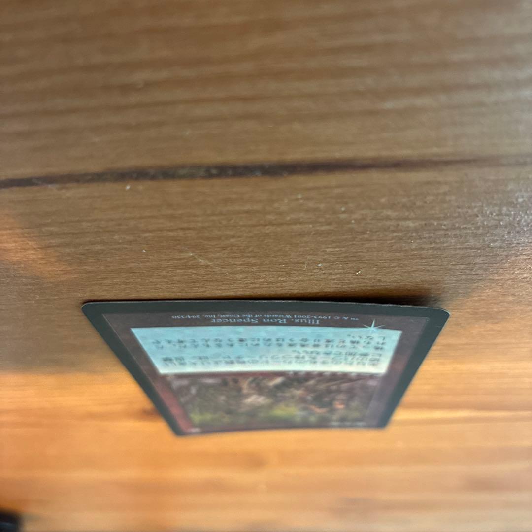 罠の橋 マジックザギャザリング