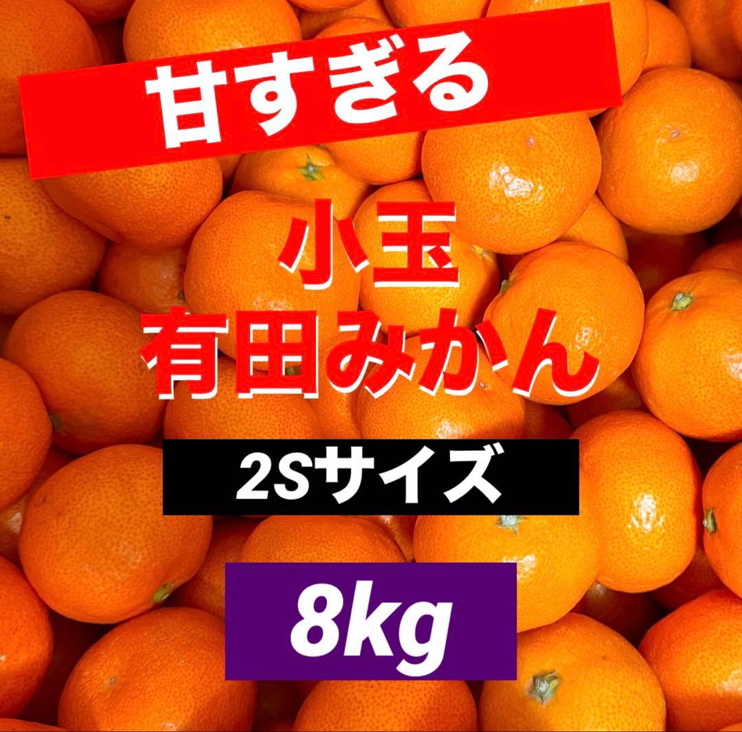 793)数量限定　甘すぎる　有田みかん　果物 　みかん　小玉　旬