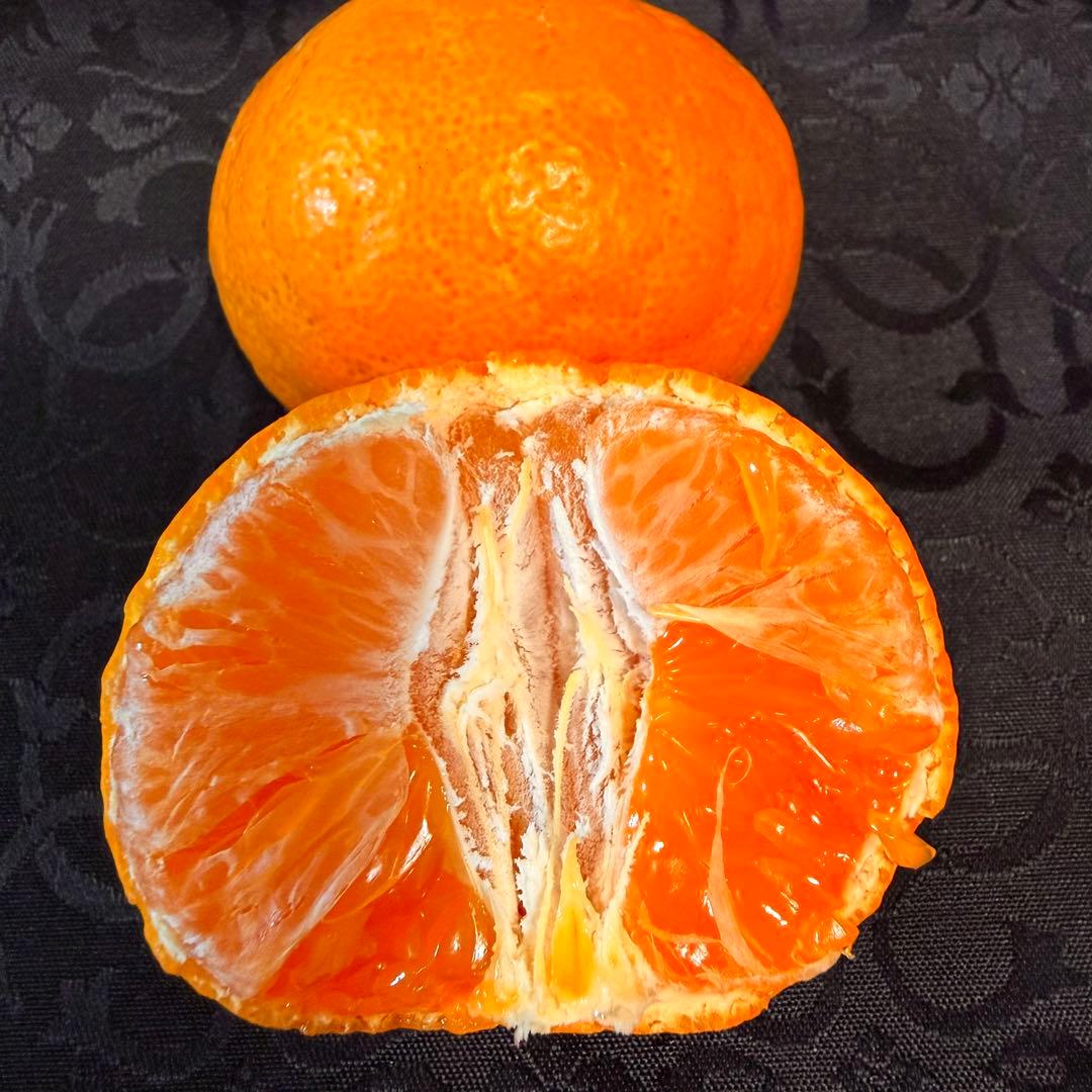 793)数量限定　甘すぎる　有田みかん　果物 　みかん　小玉　旬