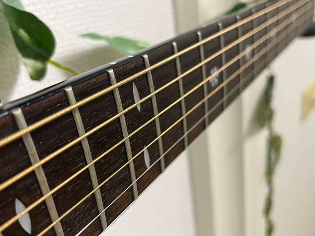 Morris モーリスTR701☆エレアコ オベーション タイプ Ovation