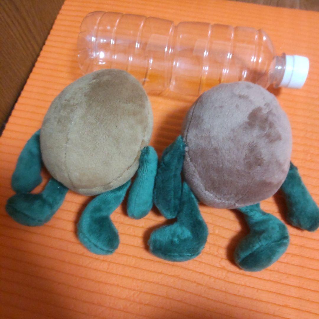 懸賞当選品 キウイブラザーズセット