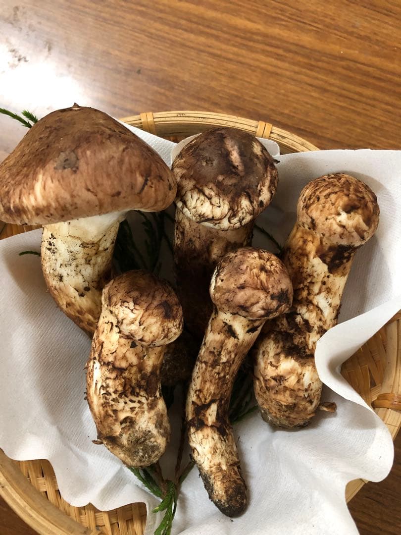 岩手県産　上物天然松茸（251.5g）