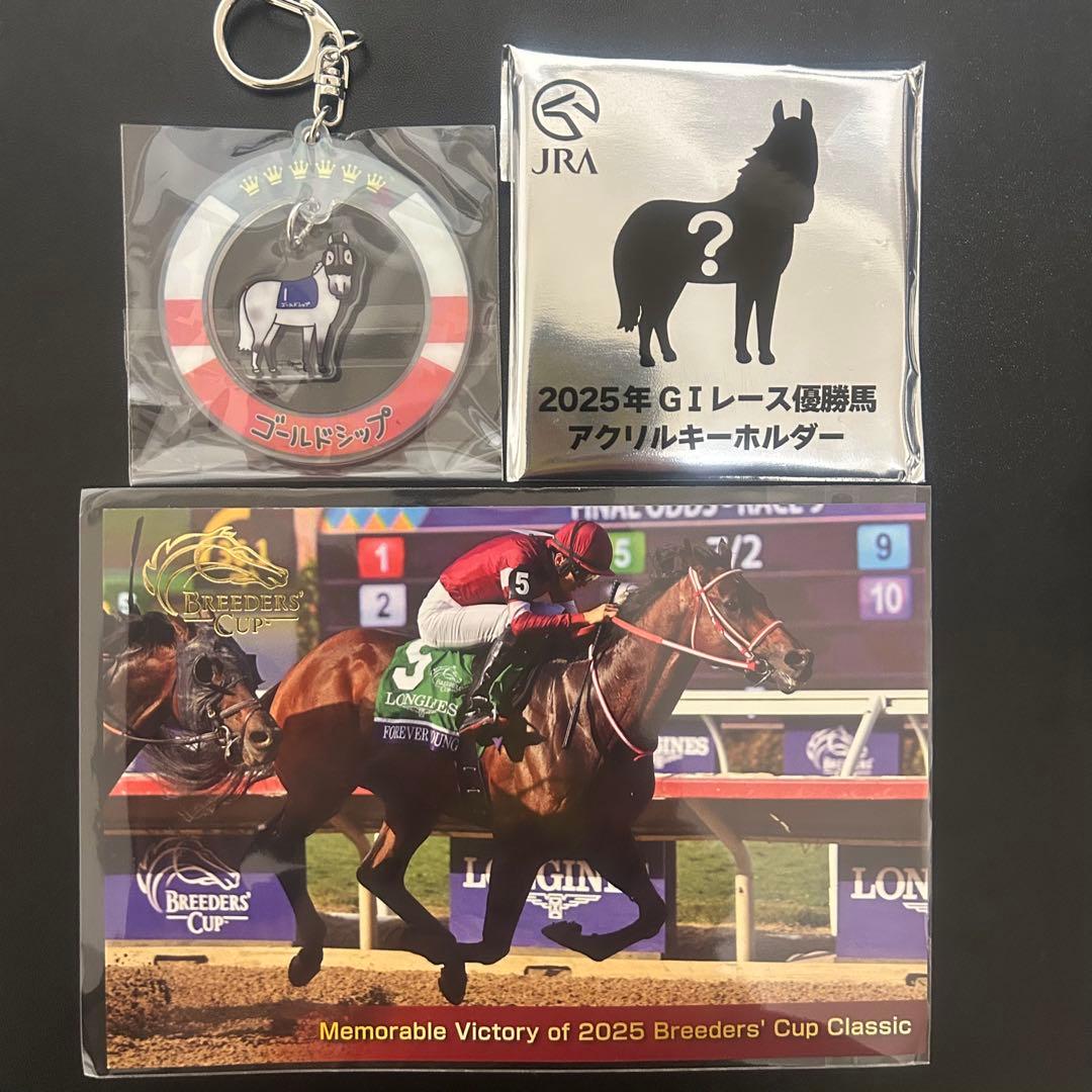 ゴールドシップ[シークレット]2025年 GIレース優勝馬 アクリルキーホルダー