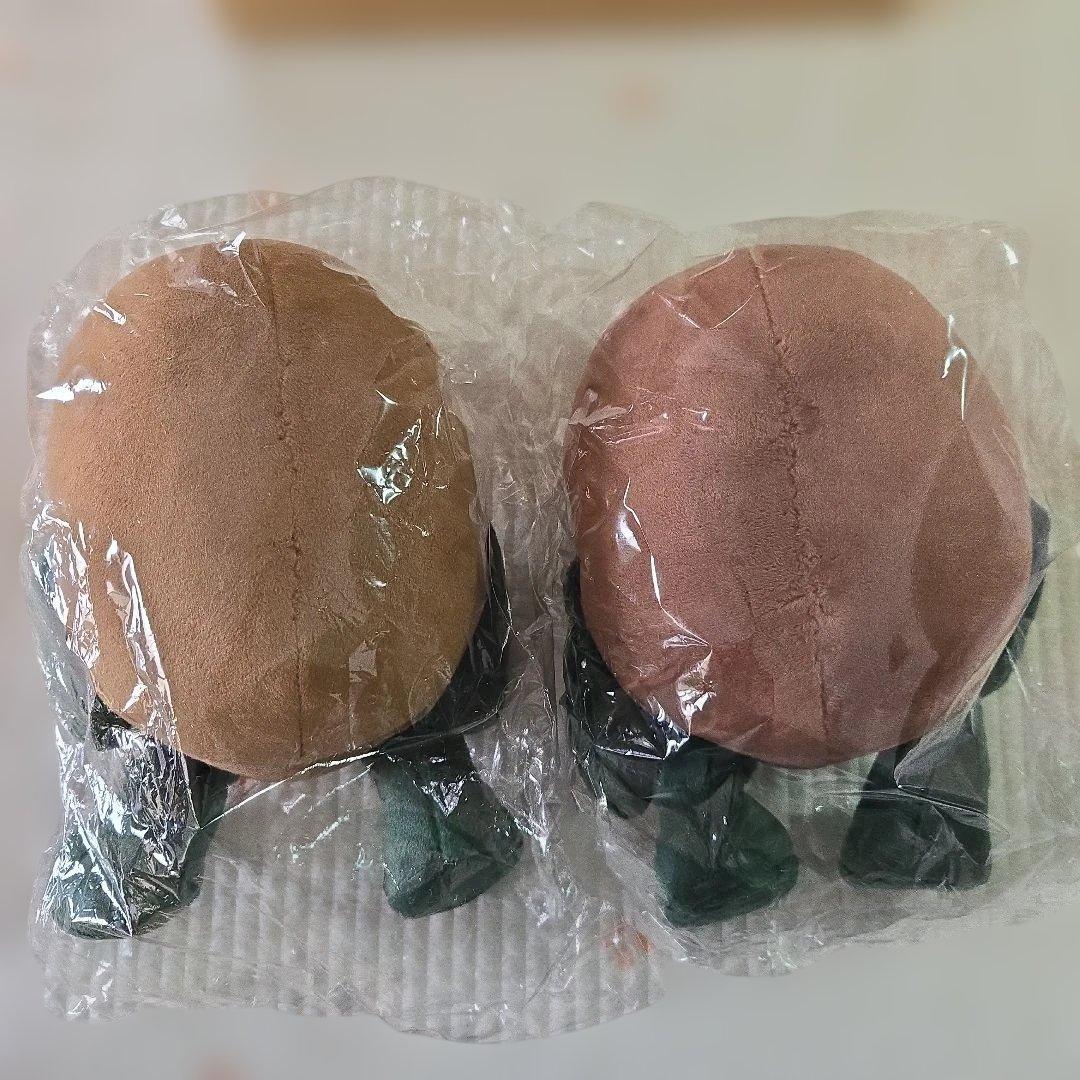 ゼスプリ　キウイ中ぬいぐるみ 2個セット